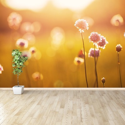 Fotostat Lyserøde blomster