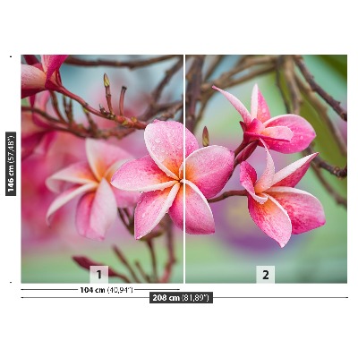 Selvklæbende fototapet Lyserød Frangipani