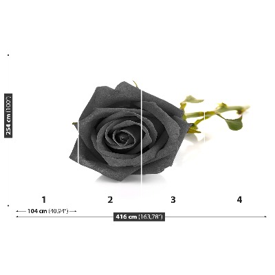 Fototapet Sort rose