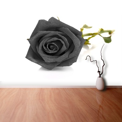 Fototapet Sort rose