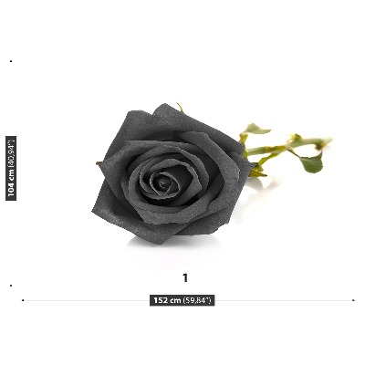 Fototapet Sort rose