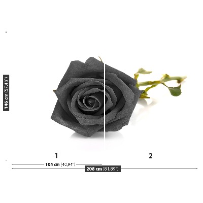 Fototapet Sort rose