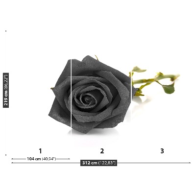 Fototapet Sort rose