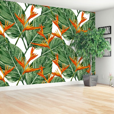 Foto tapet Royal Strelitzia