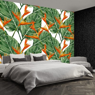 Foto tapet Royal Strelitzia