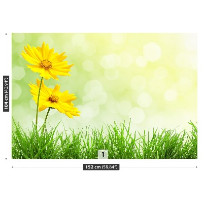 Foto tapet Gule blomster