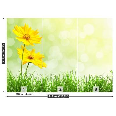 Foto tapet Gule blomster