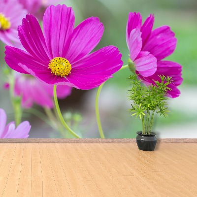 Selvklæbende fototapet Cosmos-blomster