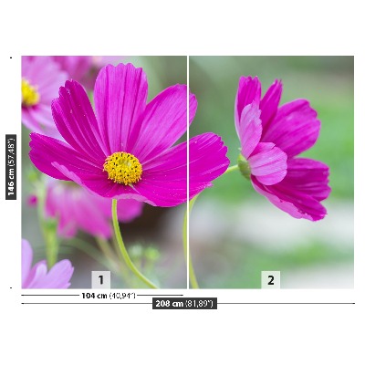 Selvklæbende fototapet Cosmos-blomster