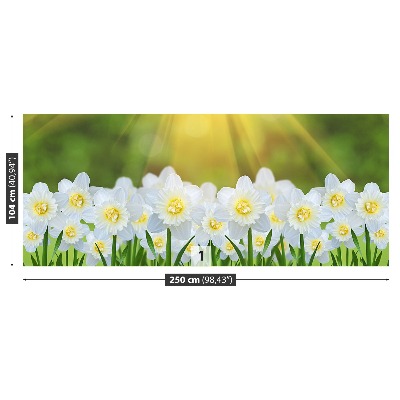 Foto tapet Narcissus Hvid