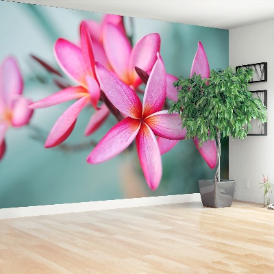 Fotostat Plumeria Pink