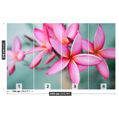 Fotostat Plumeria Pink