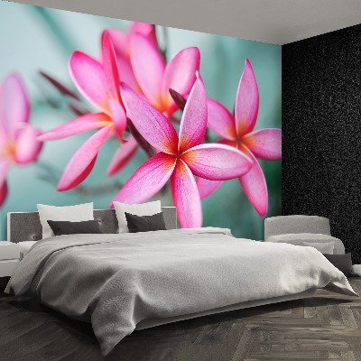 Fotostat Plumeria Pink