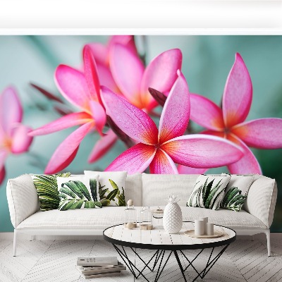 Fotostat Plumeria Pink