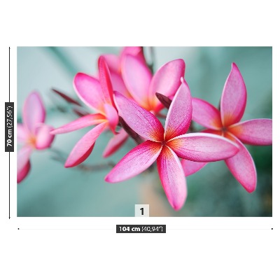 Fotostat Plumeria Pink