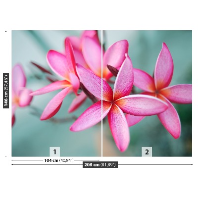 Fotostat Plumeria Pink