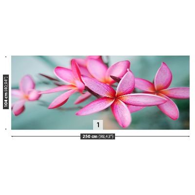 Fotostat Plumeria Pink