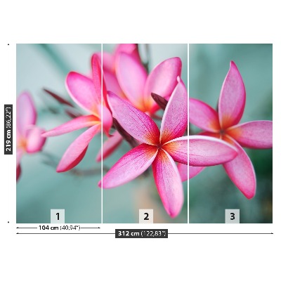 Fotostat Plumeria Pink