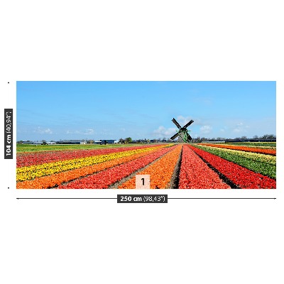 Fototapet Vindmølle Tulipaner