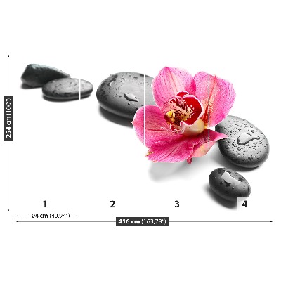 Fototapet Orchid Stones