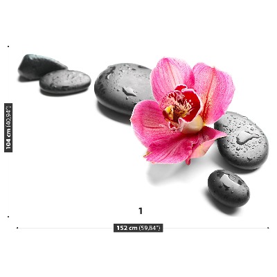 Fototapet Orchid Stones