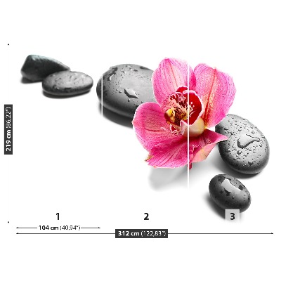 Fototapet Orchid Stones