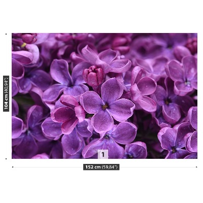 Foto tapet Blomster Lilla