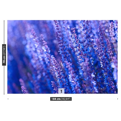 Fototapet Lavendelblomster