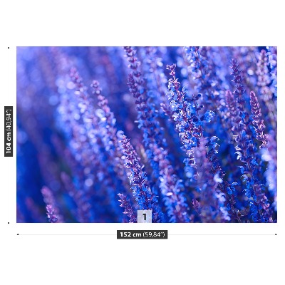 Fototapet Lavendelblomster