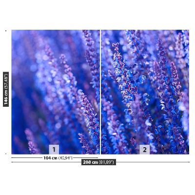 Fototapet Lavendelblomster