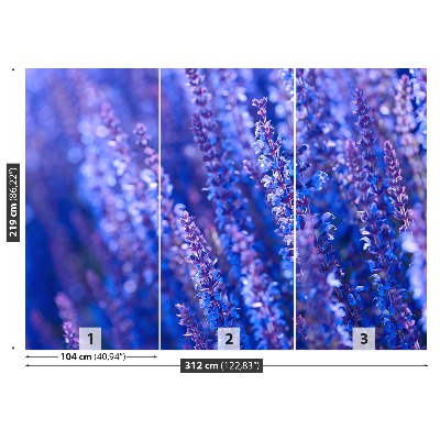 Fototapet Lavendelblomster