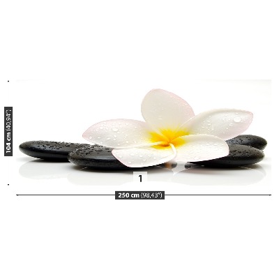 Fototapet Plumeria Sten