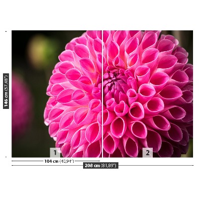 Selvklæbende fototapet Lyserød dahlia