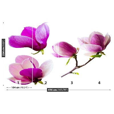 Fotostat Magnolia blomster