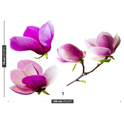 Fotostat Magnolia blomster