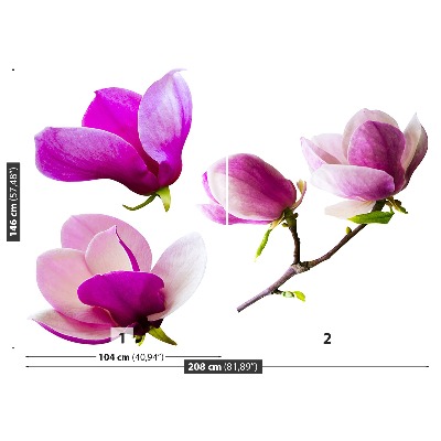 Fotostat Magnolia blomster