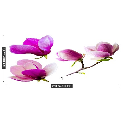 Fotostat Magnolia blomster