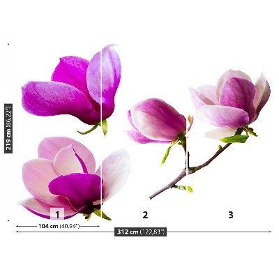 Fotostat Magnolia blomster