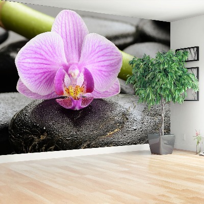 Fototapet Orchid Stones