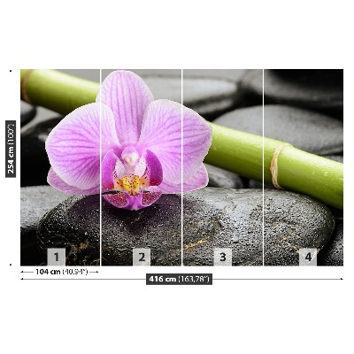 Fototapet Orchid Stones