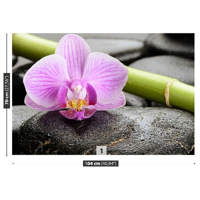 Fototapet Orchid Stones