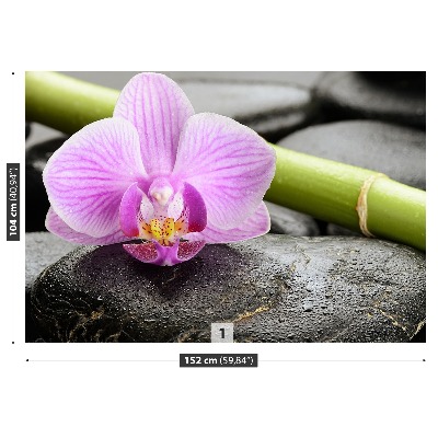 Fototapet Orchid Stones