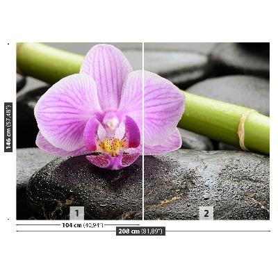 Fototapet Orchid Stones