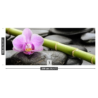 Fototapet Orchid Stones