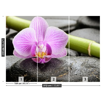 Fototapet Orchid Stones