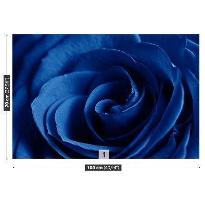 Foto tapet Rose Blue