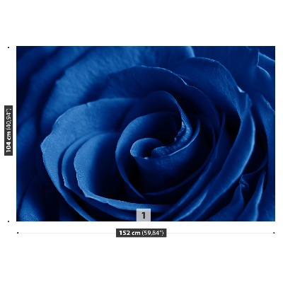 Foto tapet Rose Blue