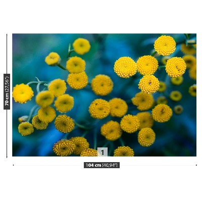 Fotostat Gule blomster