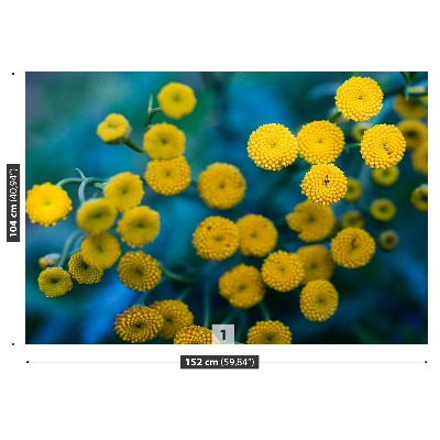 Fotostat Gule blomster