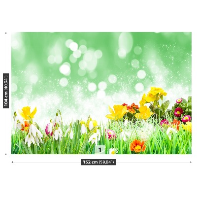 Fototapet Påskeblomster